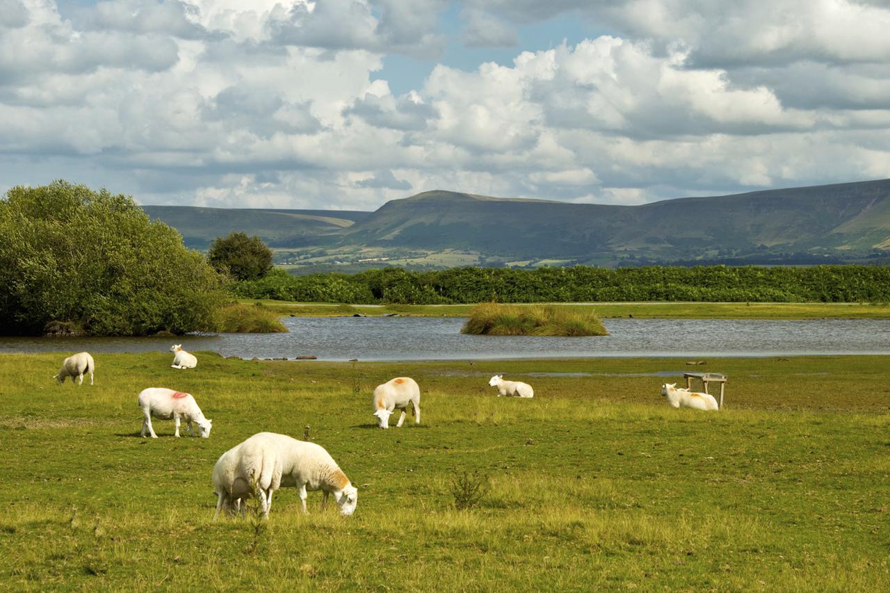 LlangorseBrynderwen住宿加早餐旅馆 外观 照片